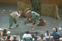 XIII-Kek-Madar-Fesztival-2005-4-Egig-ero-fa-005