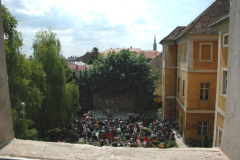 XIII-Kek-Madar-Fesztival-2005-4-Egig-ero-fa-006