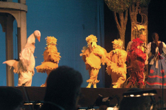 XIII-Kek-Madar-Fesztival-2005-5-Hary-Janos-009
