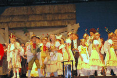 XIII-Kek-Madar-Fesztival-2005-5-Hary-Janos-014