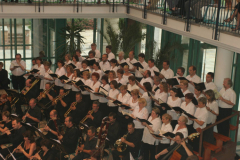 XV-Kek-Madar-Fesztival-2007-Haydn-Teremtes-057