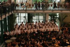 XV-Kek-Madar-Fesztival-2007-Haydn-Teremtes-061