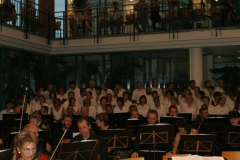 XV-Kek-Madar-Fesztival-2007-Haydn-Teremtes-085