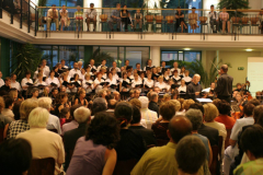 XV-Kek-Madar-Fesztival-2007-Haydn-Teremtes-105