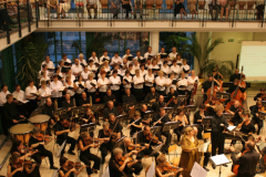 XV-Kek-Madar-Fesztival-2007-Haydn-Teremtes-109