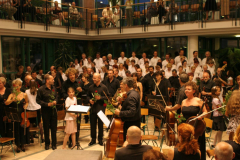 XV-Kek-Madar-Fesztival-2007-Haydn-Teremtes-131