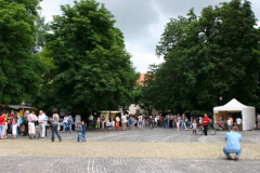 XVI-Kek-Madar-Fesztival-2008-Kezmuves-vasar-es-bemutatok-003