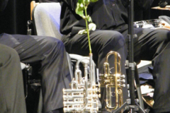 XVIII-Kek-Madar-Fesztival-2010-A-bremai-muzsikusok-25