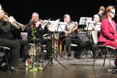 XVIII-Kek-Madar-Fesztival-2010-A-bremai-muzsikusok-26