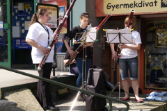 XVIII-Kek-Madar-Fesztival-2010-Kezmuves-vasar-11