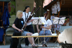 XVIII-Kek-Madar-Fesztival-2010-Kezmuves-vasar-19