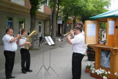 XVIII-Kek-Madar-Fesztival-2010-Madarhaz-megnyito-01