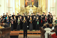 XIX-Kek-Madar-Fesztival-2011-Liszt-unnep-03
