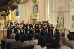 XIX-Kek-Madar-Fesztival-2011-Liszt-unnep-04