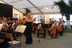 XIX-Kek-Madar-Fesztival-2011-Operagala-13