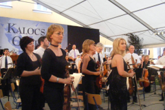 XIX-Kek-Madar-Fesztival-2011-Operagala-15