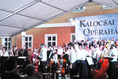 XX-Kek-Madar-Fesztival-2012-Szegedi-Szimfonikus-Zenekar-es-a-Vaszy-Viktor-korus-19