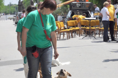 XXI-Kek-Madar-Fesztival-2013-Kezmuves-vasar-13