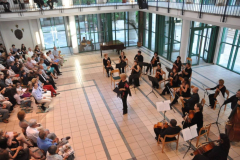 XXI-Kek-Madar-Fesztival-2013-Mendelssohn-Kamarazenekar-es-Erdi-Tamas-01