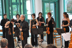 XXI-Kek-Madar-Fesztival-2013-Mendelssohn-Kamarazenekar-es-Erdi-Tamas-03