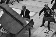 XXI-Kek-Madar-Fesztival-2013-Mendelssohn-Kamarazenekar-es-Erdi-Tamas-15