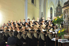 XXI-Kek-Madar-Fesztival-2013-Nemzeti-Enekkar-hangversenye-10