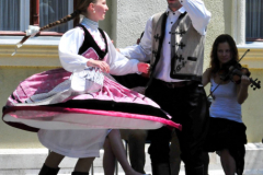 XXII-Kek-Madar-Fesztival-2014-Bacska-banda-03