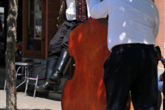XXII-Kek-Madar-Fesztival-2014-Bacska-banda-08