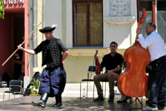 XXII-Kek-Madar-Fesztival-2014-Bacska-banda-09