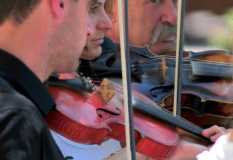 XXII-Kek-Madar-Fesztival-2014-Bacska-banda-12