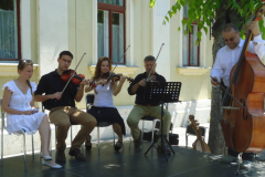 XXII-Kek-Madar-Fesztival-2014-Bacska-banda-13
