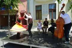 XXII-Kek-Madar-Fesztival-2014-Bacska-banda-16