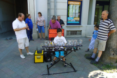 XXII-Kek-Madar-Fesztival-2014-Kezmuves-vasar-13