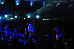 XXII-Kek-Madar-Fesztival-2014-Peterfy-Bori-es-a-Love-Band-01
