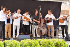XXII-Kek-Madar-Fesztival-2014-Vujucsics-egyuttes-01