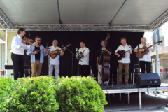 XXII-Kek-Madar-Fesztival-2014-Vujucsics-egyuttes-02