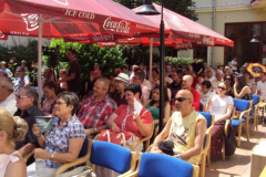 XXII-Kek-Madar-Fesztival-2014-Vujucsics-egyuttes-03