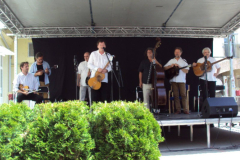 XXII-Kek-Madar-Fesztival-2014-Vujucsics-egyuttes-04