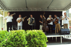 XXII-Kek-Madar-Fesztival-2014-Vujucsics-egyuttes-05