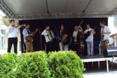 XXII-Kek-Madar-Fesztival-2014-Vujucsics-egyuttes-07
