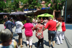 XXIII-Kek-Madar-Fesztival-2015-Babra-egyuttes-13