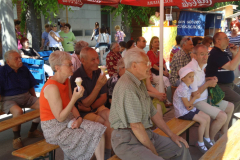 XXIII-Kek-Madar-Fesztival-2015-Madarasi-Harmonika-zenekar-05
