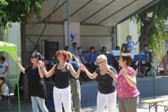 XXIII-Kek-Madar-Fesztival-2015-Madarasi-Harmonika-zenekar-10