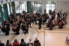 XXIV-Kek-Madar-Fesztival-2016-Nyaresti-muzsika-10