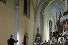 XXIV-Kek-Madar-Fesztival-2016-Szent-Gellert-oratorium-05