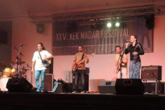 XXV-Kek-Madar-Fesztival-2017-Besh-O-Drom-02