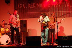 XXV-Kek-Madar-Fesztival-2017-Besh-O-Drom-12
