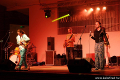 XXV-Kek-Madar-Fesztival-2017-Besh-O-Drom-13
