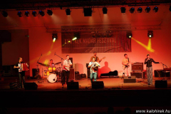 XXV-Kek-Madar-Fesztival-2017-Besh-O-Drom-14