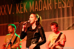 XXV-Kek-Madar-Fesztival-2017-Besh-O-Drom-17